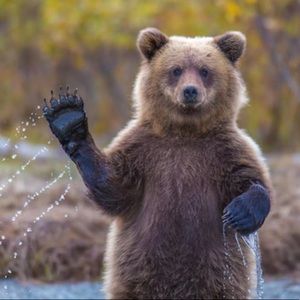 Meet your Posher, Brown